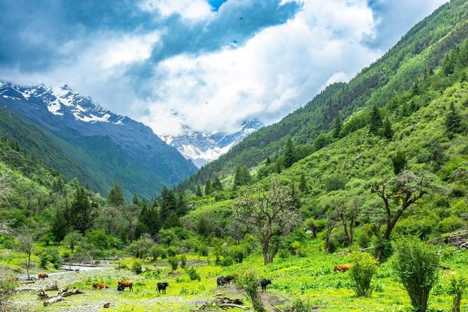 穿毕徒步地理手册：沉浸式穿越神山秘境开元棋牌试玩此生必走！收好四姑娘山长(图10)