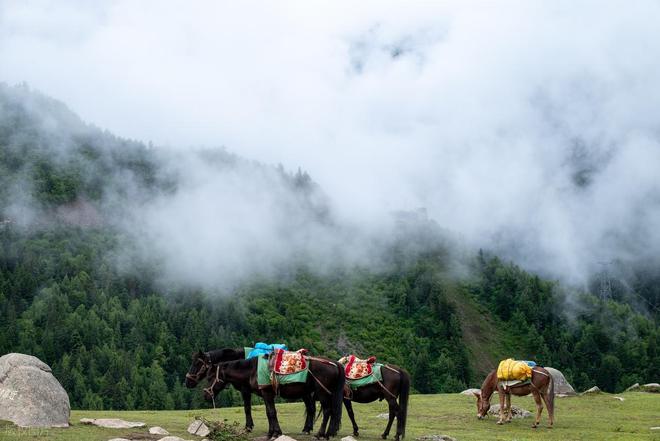 穿毕徒步地理手册：沉浸式穿越神山秘境开元棋牌试玩此生必走！收好四姑娘山长(图23)