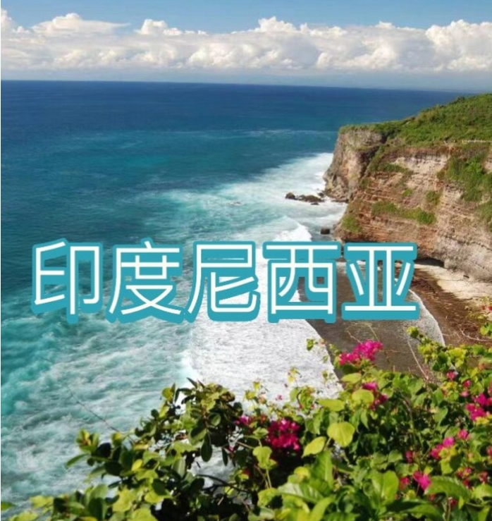 国际电商(印尼)产业博览会开元棋牌试玩2025中国(图3) 国际电商(印尼)产业博览会开元棋牌试玩2025中国(图3)