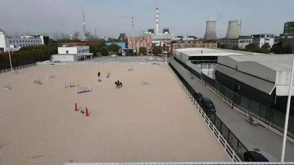 烊！骑骏马、过马年……来闵行解锁“骑”妙体验开元棋牌域见上海 悦享闵行都市马场新春不打(图5)