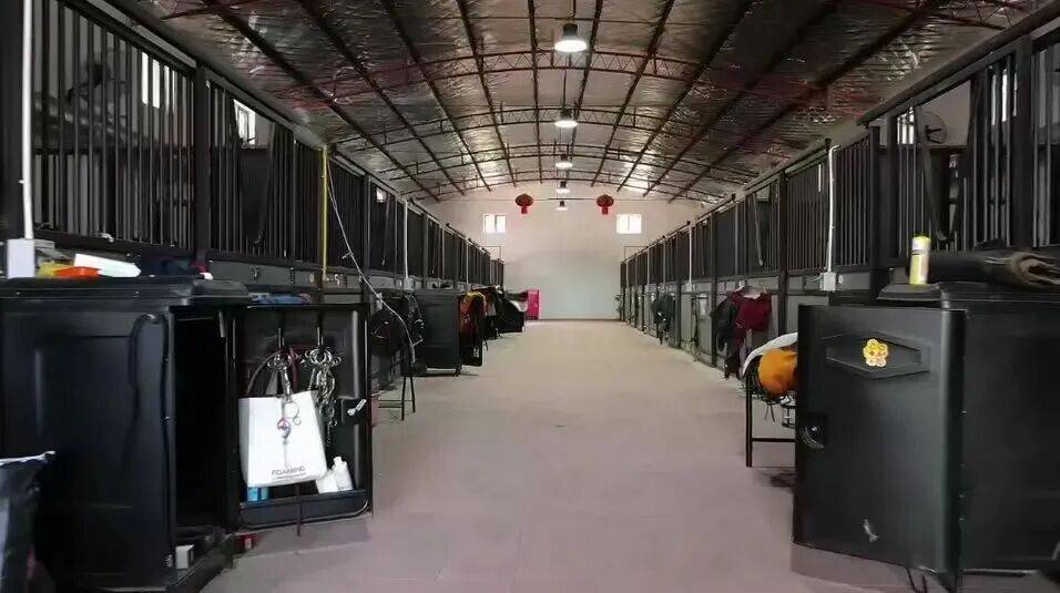 烊！骑骏马、过马年……来闵行解锁“骑”妙体验开元棋牌域见上海 悦享闵行都市马场新春不打(图3)